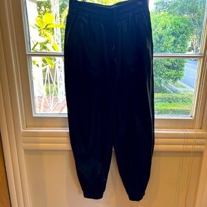 AG pleather joggers.